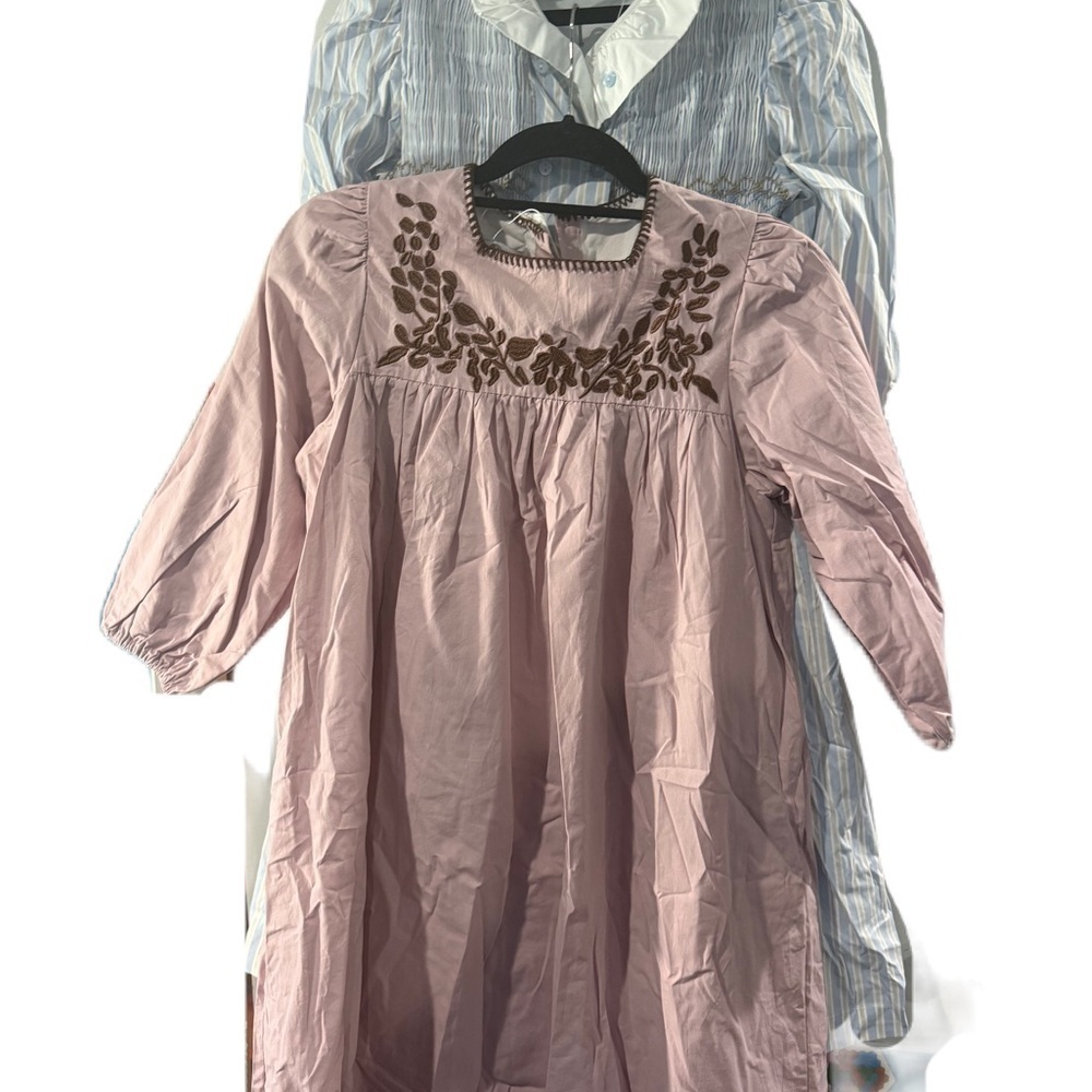 Girls Pink Dress Brown Leaf Embroidery & Blue brown Striped Dress bundle NWT